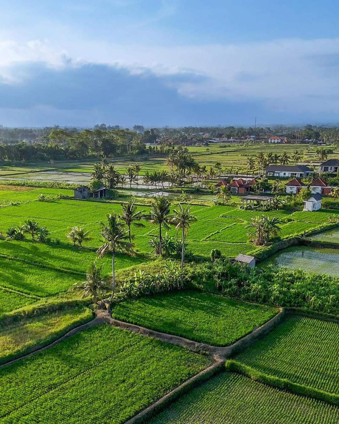 Ikada Villa By Pramana Villas Ubud Exteriör bild
