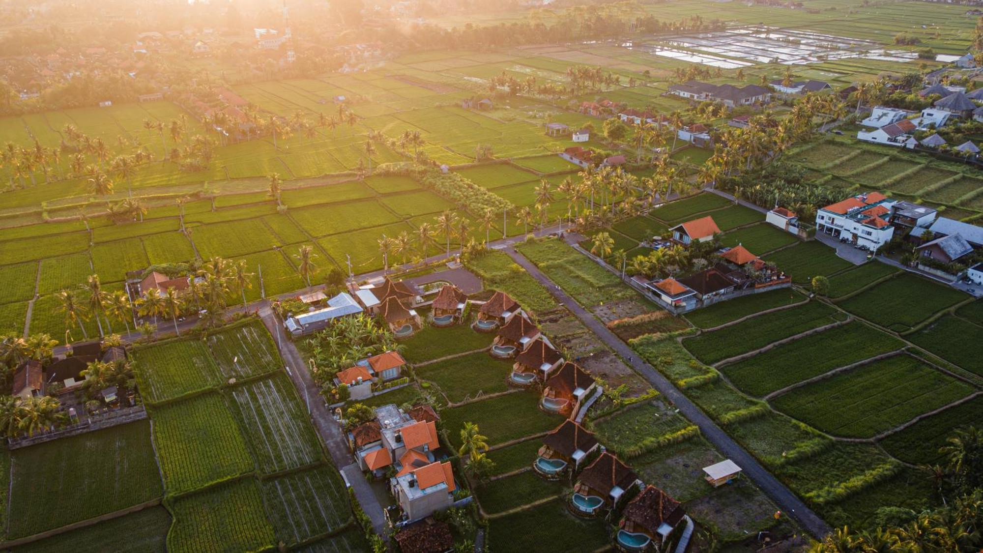Ikada Villa By Pramana Villas Ubud Exteriör bild